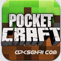 Pocket Craft Survivor Mode